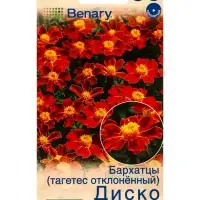 Семена цветов Бархатцы Диско ред отклоненные  Спецсерия Benary, Ц/П,7 шт.