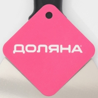 Лопатка-скребок, ручка пластик 21,5х10 см