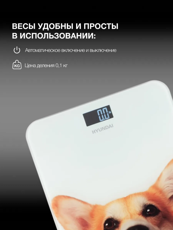 Весы напольные электронные H-BS03671 макс.180кг