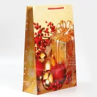 Пакет подарочный новогодний ламинированный &laquo;Поздравляю&raquo;, L 28 х 38 х 9 см