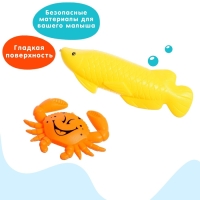 Рыбалка &laquo;Большие рыбки&raquo; 10 рыбок, 2 удочки, 2 сачка