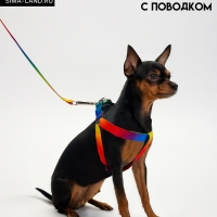 Комплект "Радуга", капрон, поводок 120 х 1,5 см, ОГ 24-34 см, разноцветный