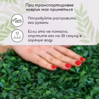 Декоративная панель, 25 &times; 25 см, &laquo;Мокрица&raquo;, Greengo