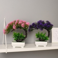 Бонсай в горшке "Селагинелла африканская" 10х20 см, микс