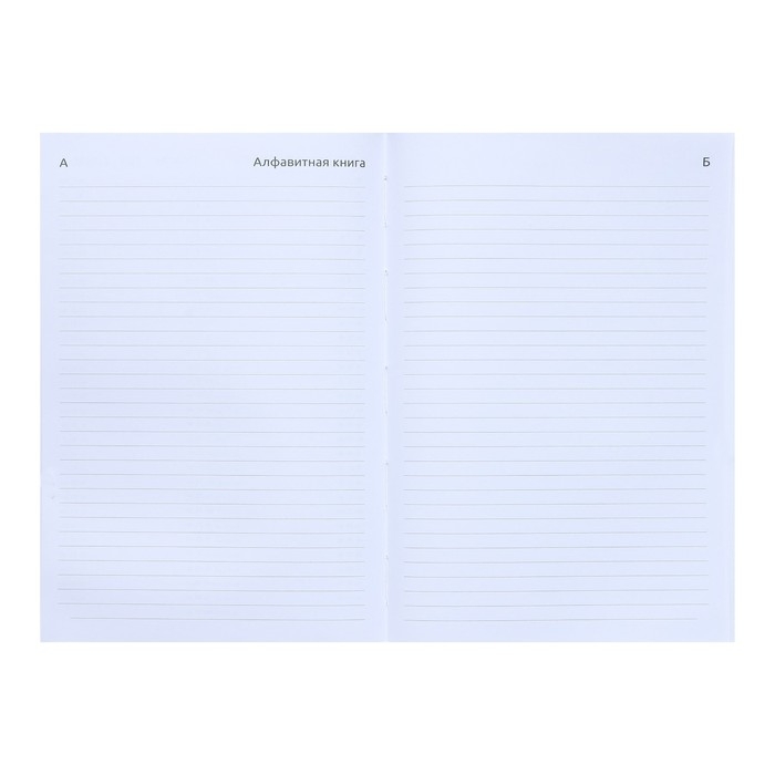 Ежедневник датированный 2024 года, А5, 176 листов, Attomex.Regent, обложка бумвинил, ляссе, блок 70 г/м2, синий