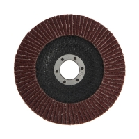 Круг лепестковый торцевой ТУНДРА, 125 х 22 мм, Р24