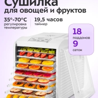 Дегидратор для овощей фруктов пастилы КТ-1909 - 700 Вт