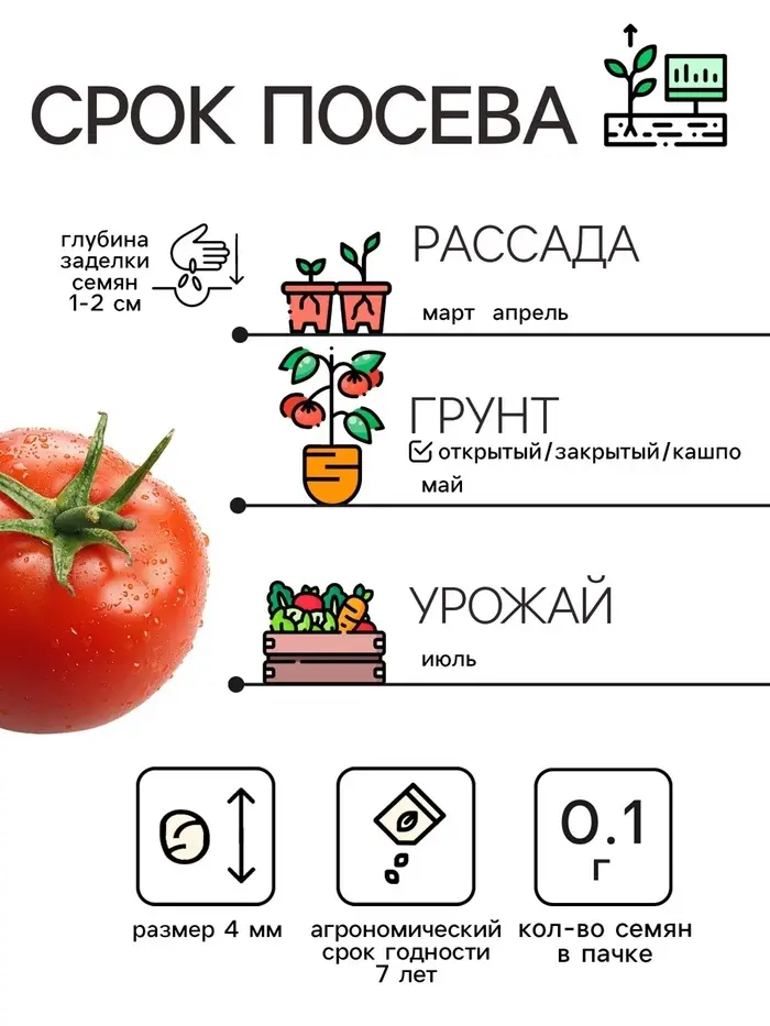 Семена Томат "Челнок", 0,1 г