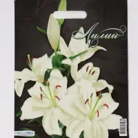 Пакет "Лилии, полиэтиленовый с вырубной ручкой 30х40 см, 60 мкм