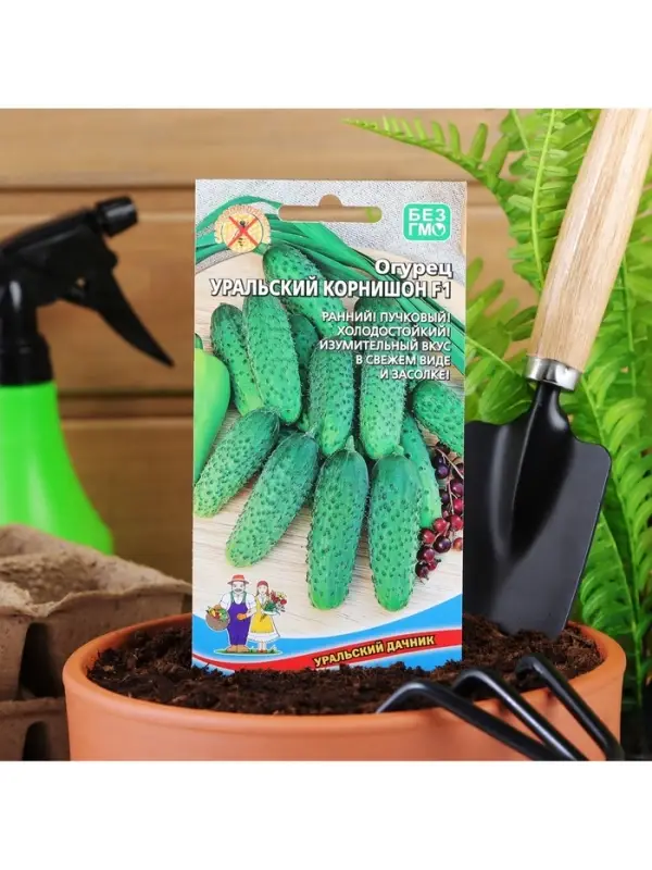 Набор семян Огурец "Уральский корнишон" F1, раннеспелый, партенокарпический, 5 шт.