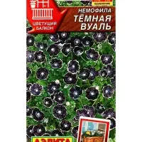 Семена цветов Немофила Темная вуаль  Цветущий балкон, Ц/П,0,1 г