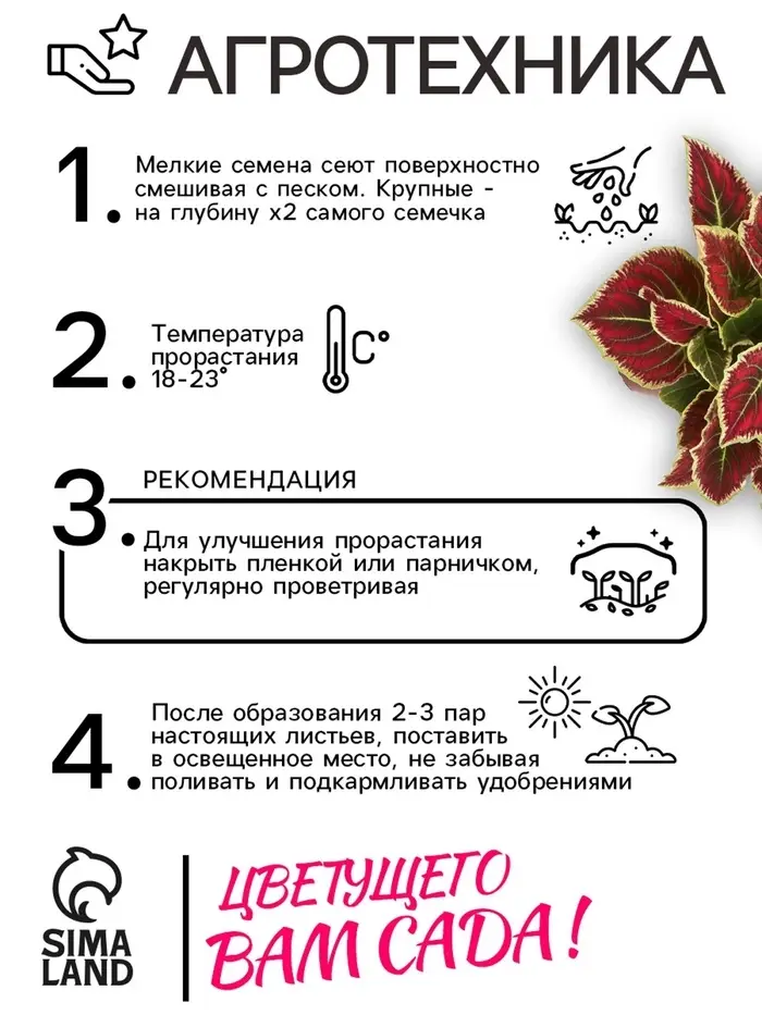 Семена цветов Колеус "Оригинальный", ц/п,  смесь,  0,03  г