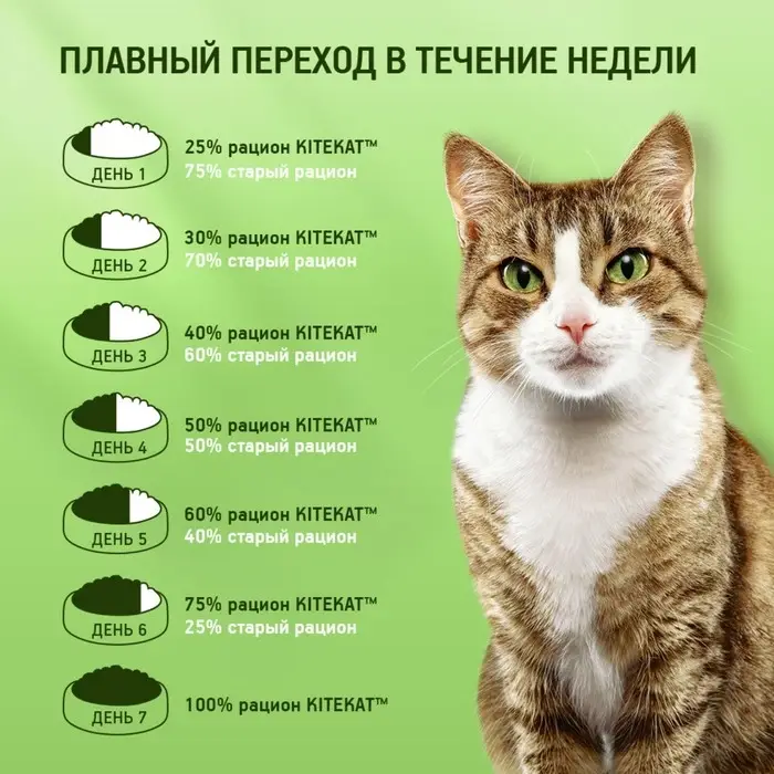 Влажный корм Kitekat для кошек, курица в соусе, пауч 85 г