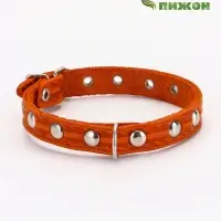 Ошейник кожаный однослойный украшенный, 1,2 см, ОШ 20-26 см микс цветов