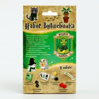 Набор волшебника &laquo;Факультет Хитрых&raquo; 6 фокусов, инструкция в комплекте