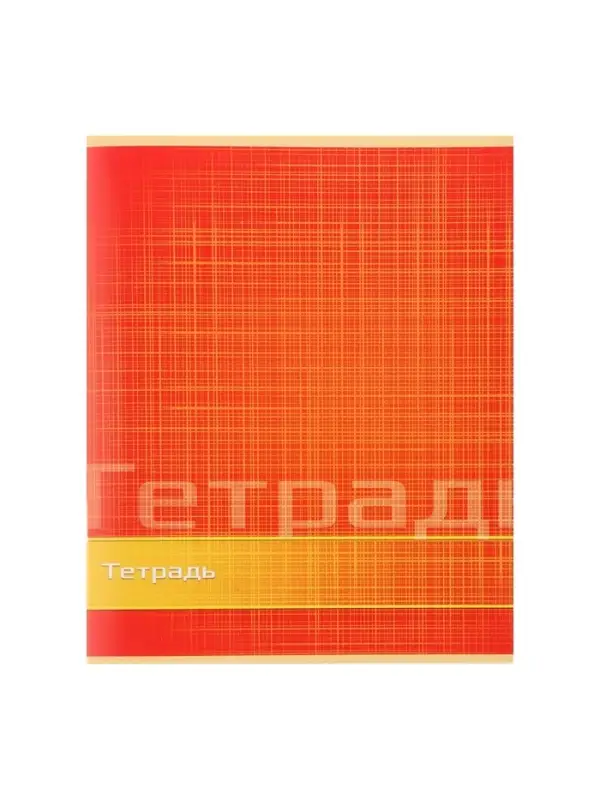 Тетрадь 48 листов в линейку Calligrata &laquo;Цвет и графика&raquo;, обложка мелованная бумага, блок №2, белизна 75% (серые листы), МИКС