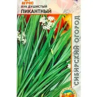 Семена Лук душистый "Пикантный" 1 г