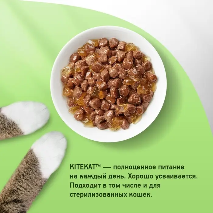 Влажный корм KiteKat для кошек, курица в желе, пауч, 85 г