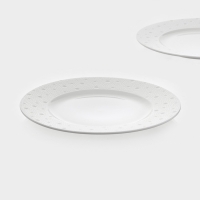 Набор тарелок 2 шт Magistro Fray 26х2,2 см