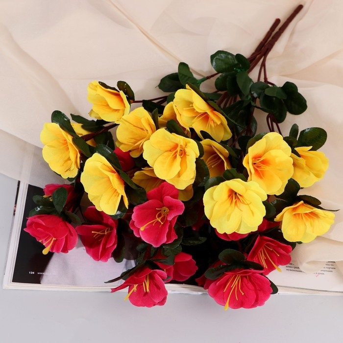 Букет Букет "Ахименес Тереза" 5х33 см, микс