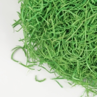 Наполнитель для декора &laquo;Сено&raquo;, 100 гр, цвет зелёный