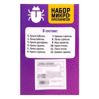 Набор для опытов &laquo;Набор микропрепаратов&raquo;, насекомые