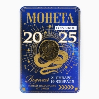 Монета гороскоп 2025 новогодняя &laquo;Водолей&raquo; на Новый год, латунь, диам. 2, 5 см