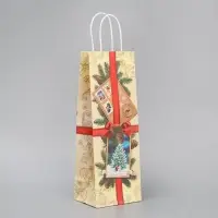 Пакет под бутылку &laquo;Почта&raquo;, 13 x 36 x 10 см