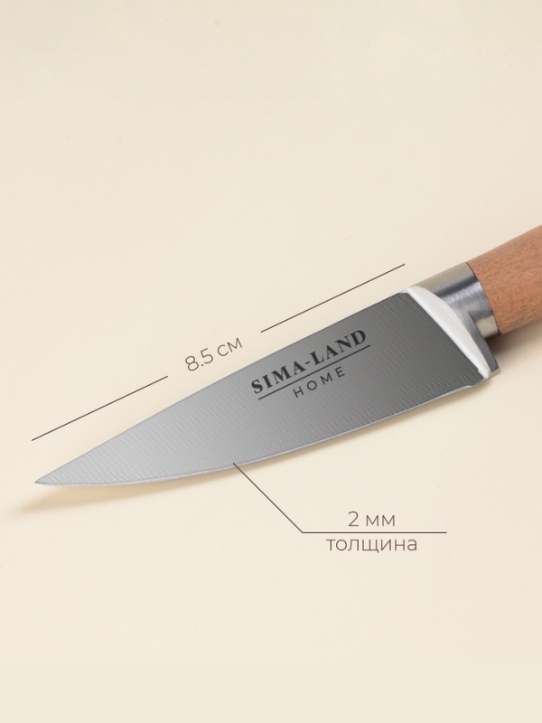 Нож кухонный овощной SL Home &laquo;Калабрия&raquo;, нержавеющая сталь, 8,5 см, бежевый