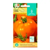 Семена Томат "Хурма",детерминантный,среднерослый 0,1 гр