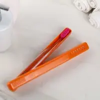 Футляр для зубной щётки Комфорт Плюс, 20&times;2&times;3 см, цвет МИКС