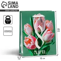 Пакет подарочный ламинированный, упаковка, &laquo;8 марта&raquo;, S 12 х 15 х 5.5 см