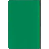 Ежедневник Aspect на заказ, недатированный, зеленый