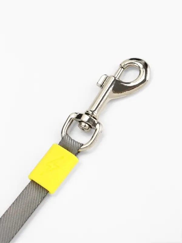 Рулетка - поводок для собак, лента 3 метра, зелёная