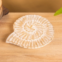 Набор сувенирный &laquo;Ракушки&raquo;, 28 см, 23 см, 18 см, дерево, бежевый