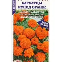 Семена Бархатцы Купид Оранж /Сотка/ 0,1г/ прям. 35см, d-10см/*1500