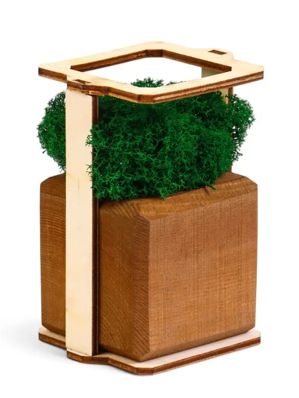 Кашпо композиция со мхом "Бриовуд", мох стабилизированный: Forest green (Зелёный лес)