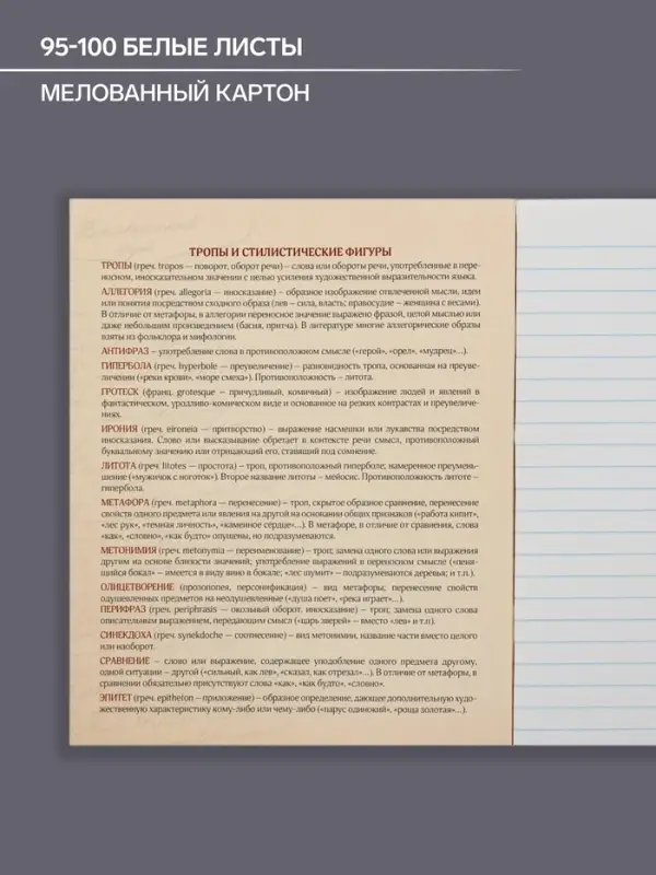 Тетрадь предметная 48 листов в линейку Calligrata, &laquo;Литература&raquo;, обложка мелованный картон
