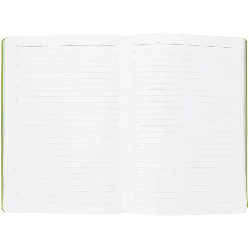 Ежедневник Flexpen, недатированный, серебристо-зеленый