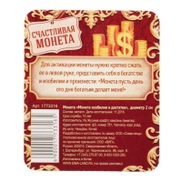 Монета сувенир &laquo;Монета изобилия и достатка&raquo;, d=2 см.