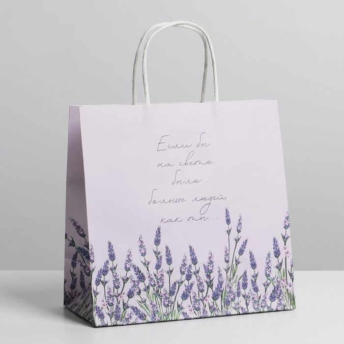 Пакет подарочный, упаковка, &laquo;Если бы&raquo;, 22 х 22 х 11 см