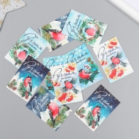 Бирка картон "НГ Снегирь" набор 10 шт (5 видов) 4х6 см