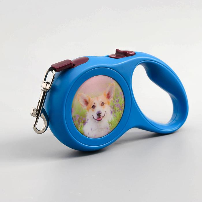 Рулетка с принтом "Милашка", 5 м, вес животного до 15 кг, синяя