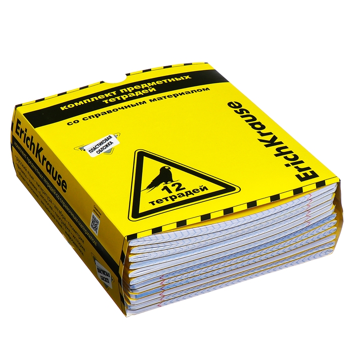 Комплект предметных тетрадей 48 листов, 12 штук, ErichKrause Be Informed, пластиковая обложка, шелкография, блок офсет 100% белизна, инфо-блок
