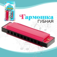 Губная гармошка &laquo;Гармоника&raquo;, с металлическим корпусом и футляром, цвета МИКС
