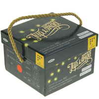 Гирлянда &laquo;Бахрома&raquo; 3 &times; 0.6 м, IP44, УМС, прозрачная нить, 160 LED, свечение красное, 220 В