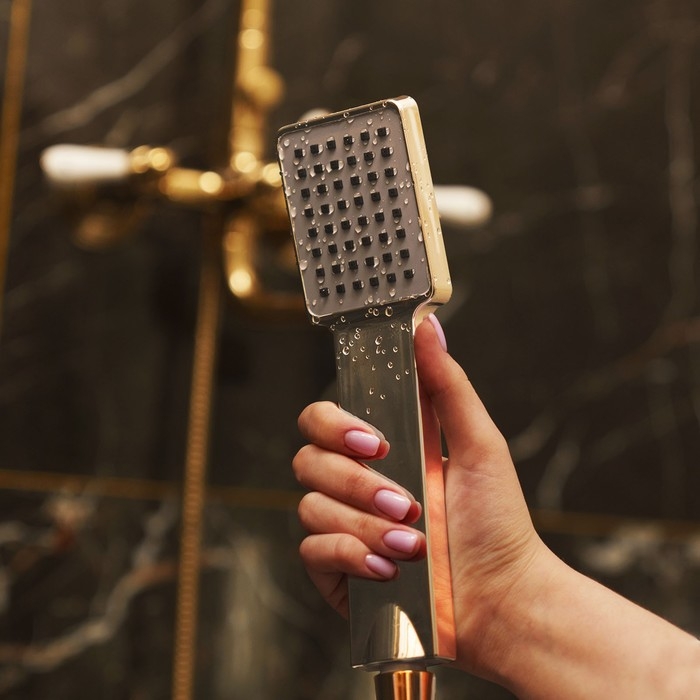 Душевая лейка ZEIN Z407, 1 режим, 85x85 мм, пластик, цвет хром