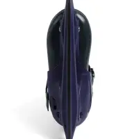 Коньки раздвижные BlackAqua, р. 35-38, для фитнеса, синие, зелёные