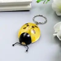 Фонарик брелок для ключей на кольце &laquo;Божья коровка&raquo;, МИКС