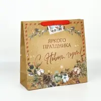 Набор новогодних пакетов &laquo;Верь в чудеса&raquo;